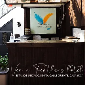 Hotel Feathers & Lounge, Antigua