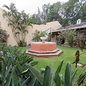 Donde Lico Pensión